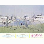 Gitane catalog supplement (1975)
