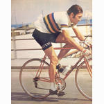 Falcon Merckx brochure (1973)