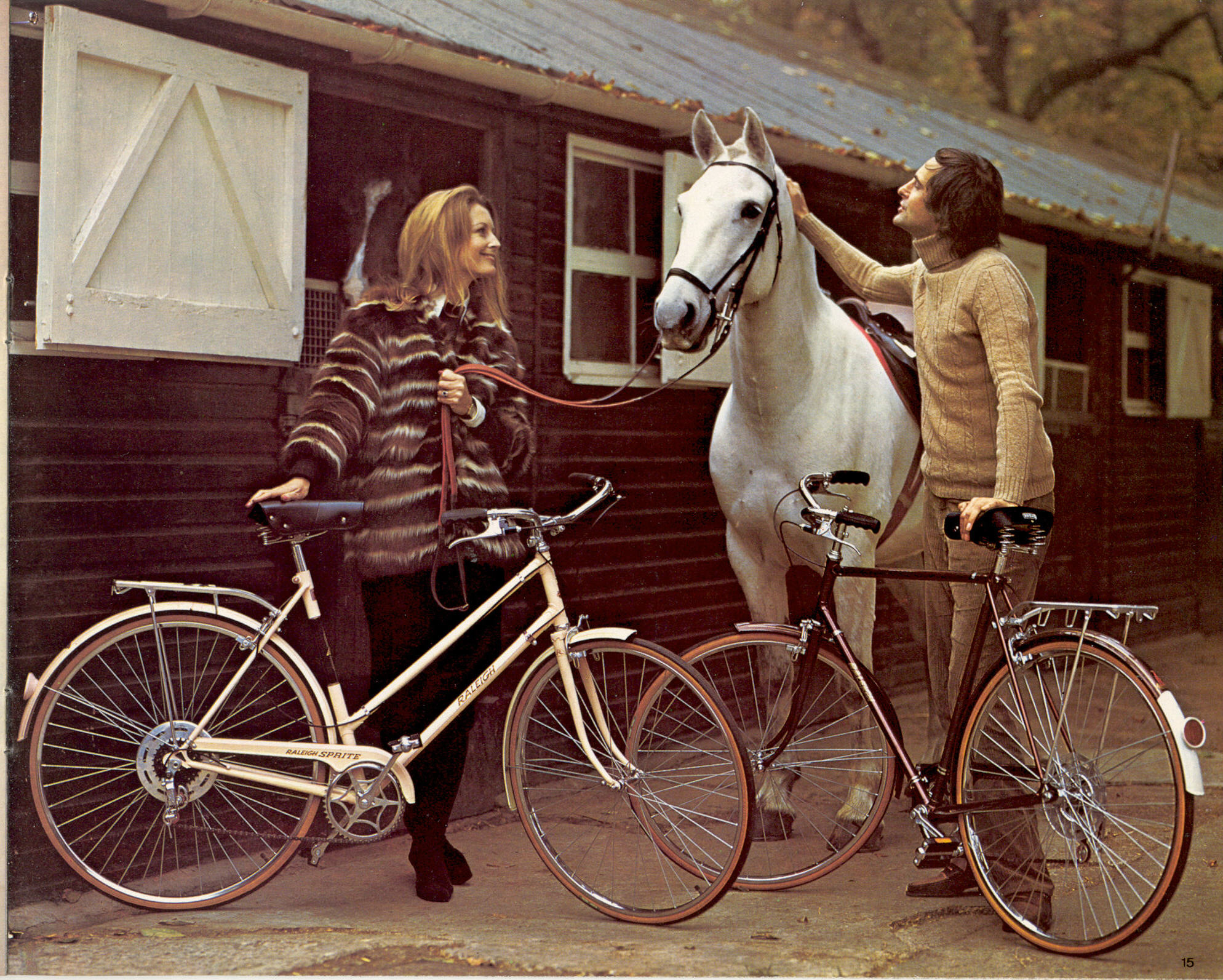 Raleigh catalog (1973)