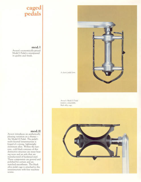 Avocet catalog (1981)